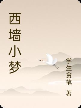 西墙迷羊