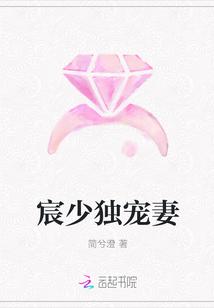 宸少宠妻请低调笔趣阁