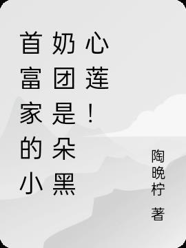 首富家的小奶团是朵黑心莲玲珑