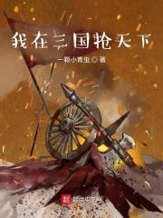 我跟三国抢天下