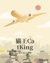 猫王catking的桌子