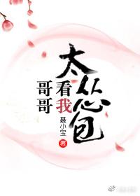 哥哥看我太丛包
