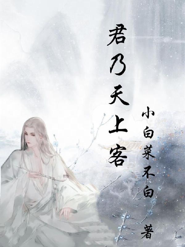 疑是天上客