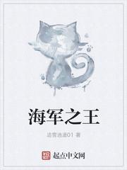 海军开会王