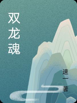 双龙魂动漫