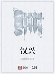 汉兴的原因