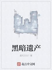 黑暗遗产 肯尼迪 布什