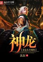 神龙怎么打
