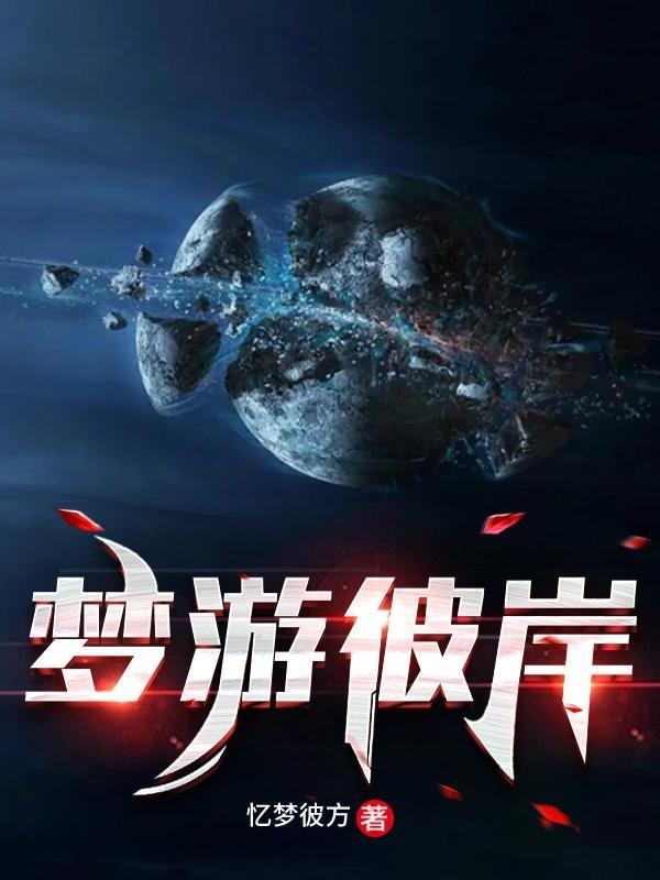 彼岸游境有几章