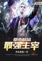 都市最强极品主宰免费