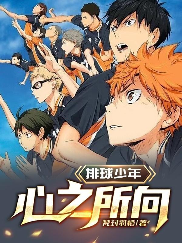 排球少年可以在哪里看
