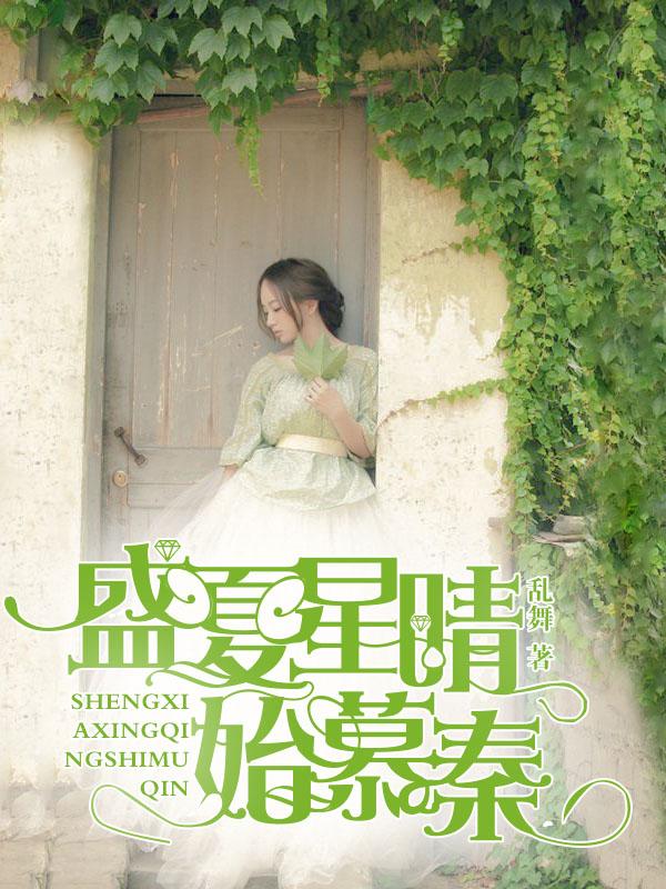 盛夏星晴始慕秦目录