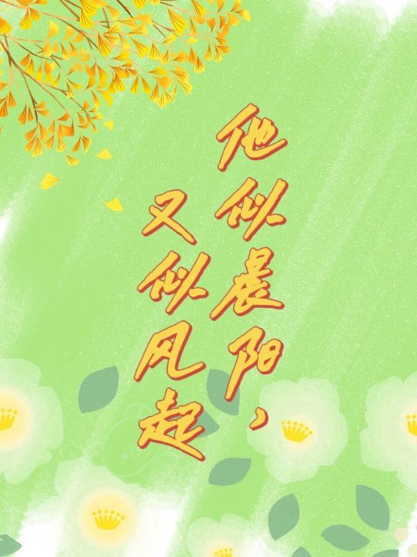 他似晨风起简介