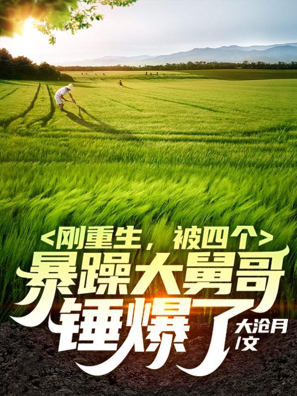 被四个暴躁大舅哥锤爆了类似的