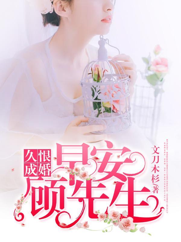 顾先生早上好