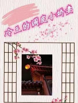 冷王的调皮王妃