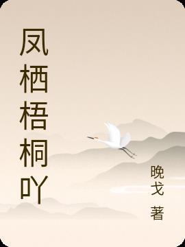 娱乐圈攻略作者凤栖梧桐