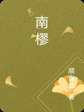 南樛插件管理器破解版