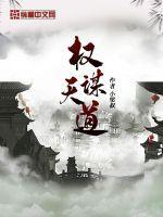 权谋王道