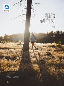 佳人似水王小野全文免费阅读
