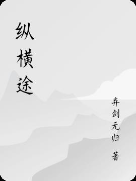 捷途纵横参数