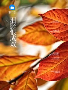 电影泪影