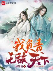 我负责无敌天下夏禅什么身份