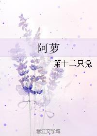 阿萝txt 百度