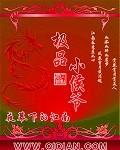 极品小侯爷秦羽TXT