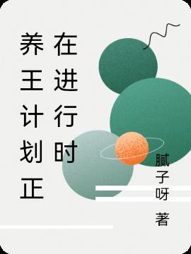计划英文正在进行时