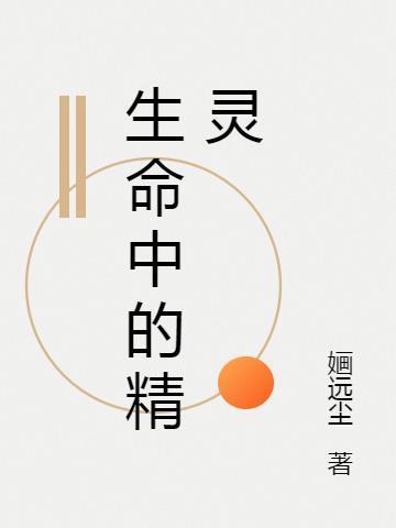 生命中的精灵歌词故事