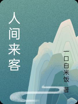 人间来客DJ版