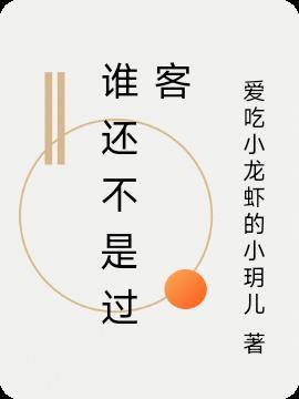 红尘谁不是过客说说