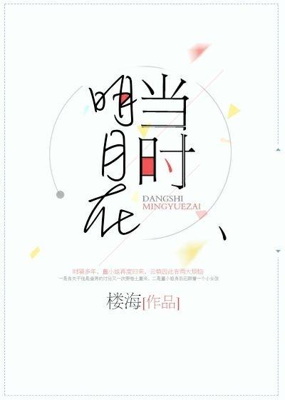 当时明月在楼海免费