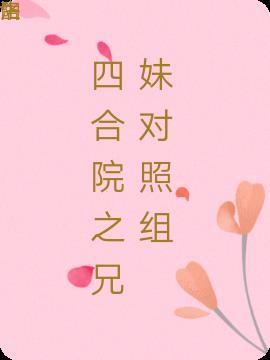 四合院之兄妹对照组笔趣阁