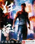 铁拳 rom