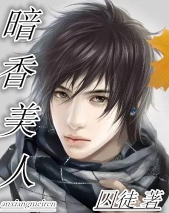 暗香美人郑峰林红免费阅读