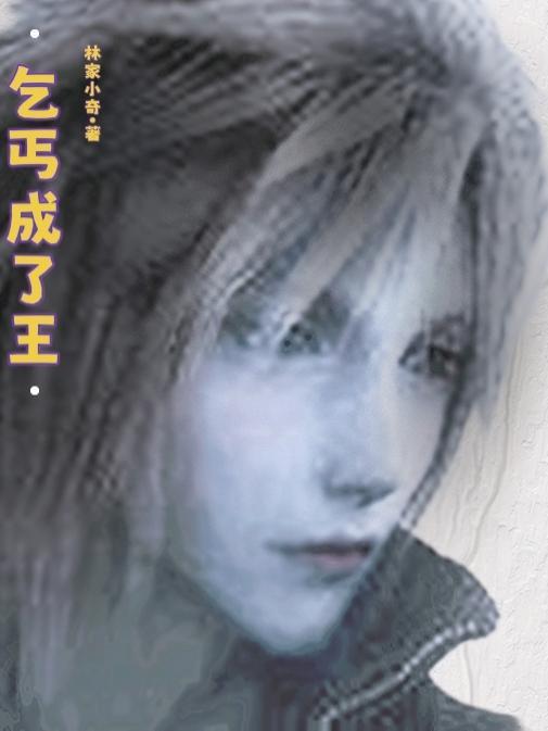 乞丐成了王妃 短剧