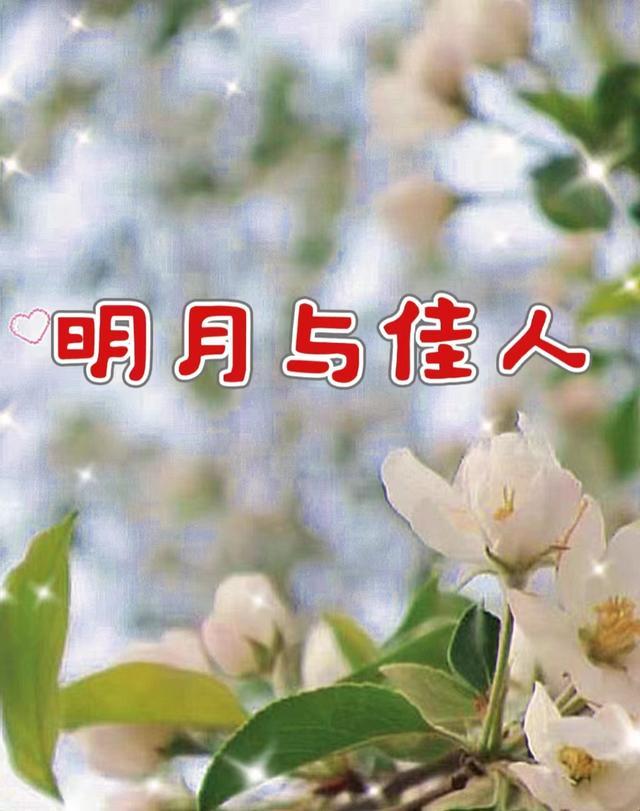 明月佳人 光阴未尽什么意思