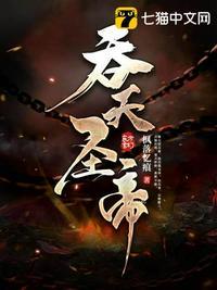 吞天圣帝TXT枫落忆痕
