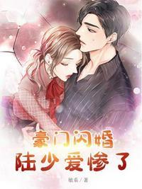 豪门闪婚陆少爱惨了我
