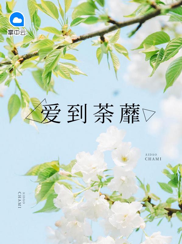 爱到荼蘼裴执