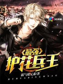 最强护花兵王TXT