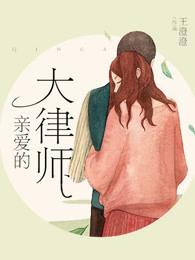 亲爱的大律师电视剧