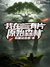 我在1980有片原始森林 笔趣