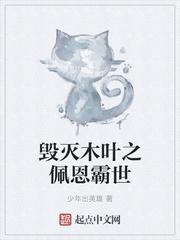毁灭木叶之佩恩霸世怎么样