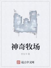 再见不负遇见是哪首歌曲