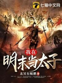 我在明末当太子zip