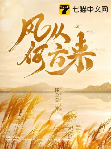 风从哪个方向来免费阅读