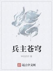 兵御苍穹阅读